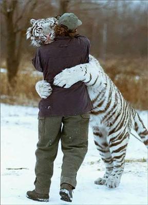big hug