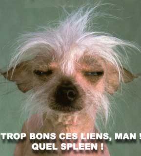 T'es affreux