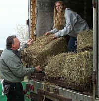 40 Bails of Hay for skirting around your trailor.