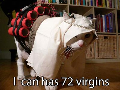 Terrorcat
