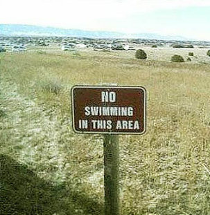 Stupid sign
