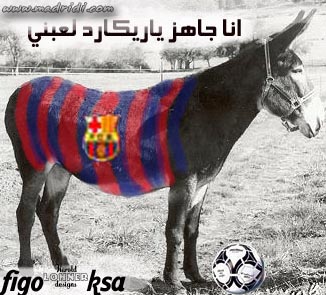 barecawi hhhhhhhh lmot hhhhh