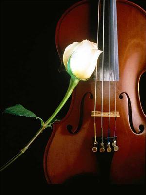 for ever