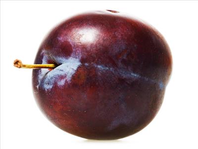 Plum