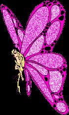 purple butterfly 11