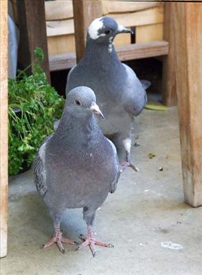 Happy Couple & friends 