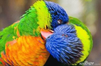 Romance!!