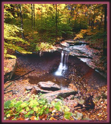 Waterfall in the Wood