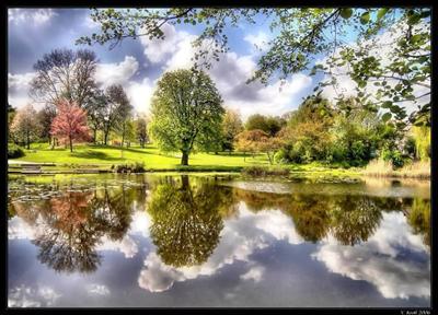 Lake in the Park