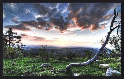 Evening Dream