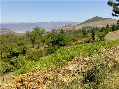 aspıras9