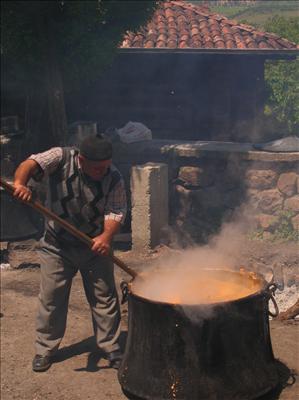 aspıras12