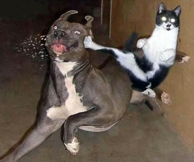 Kick