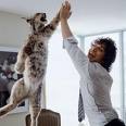 hi-five