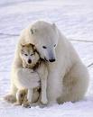 hug