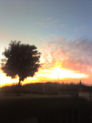 Sunrise III