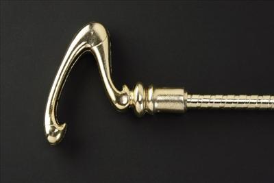 Riddler Cane