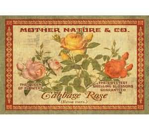 Rose Seeds