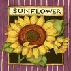Sunflower Seeds