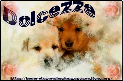 cani 1