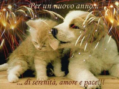 cane + gatto 2