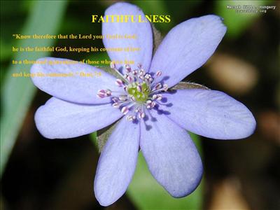 Faithfulness