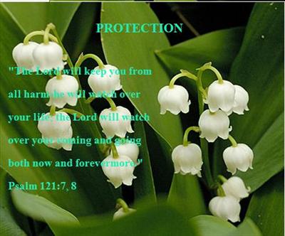 Protection
