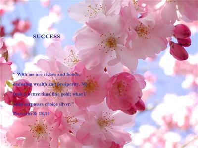 Success