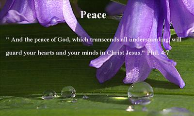 Peace