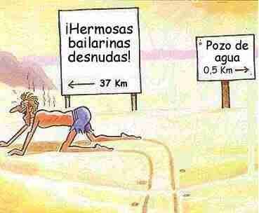 un guey o gay