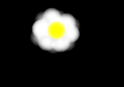 White Flower