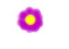 Purple flower