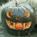 Black Pumpkin