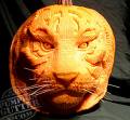 Tiger Pumpkin