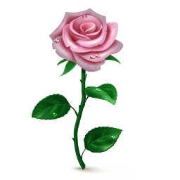 Gift14