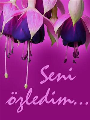 Seni Özledim