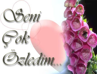 Seni çok Özledim