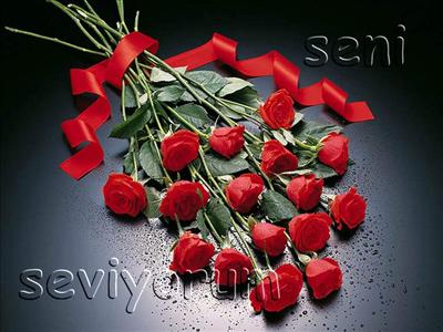 Seni Seviyorum
