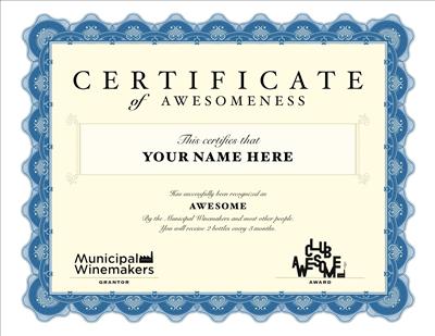 certificate of awesome-ness