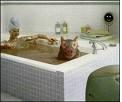 bain