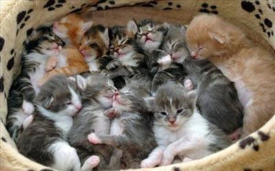 Sleep