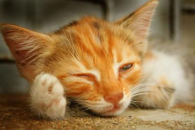 Just restin ma eyes!