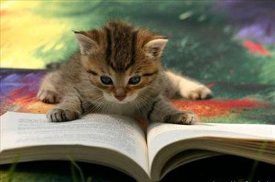 Book worm