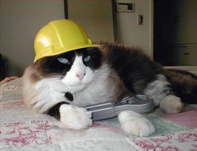 Bob the builder