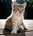 Teeny