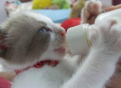 Bottle time