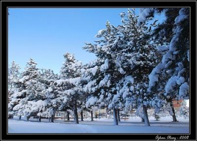Ahlat-22