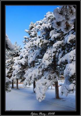 Ahlat-10