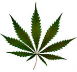 Stoned