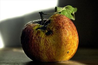 Äpple